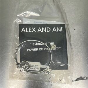 Alex and Ani Silver Charm Bracelet